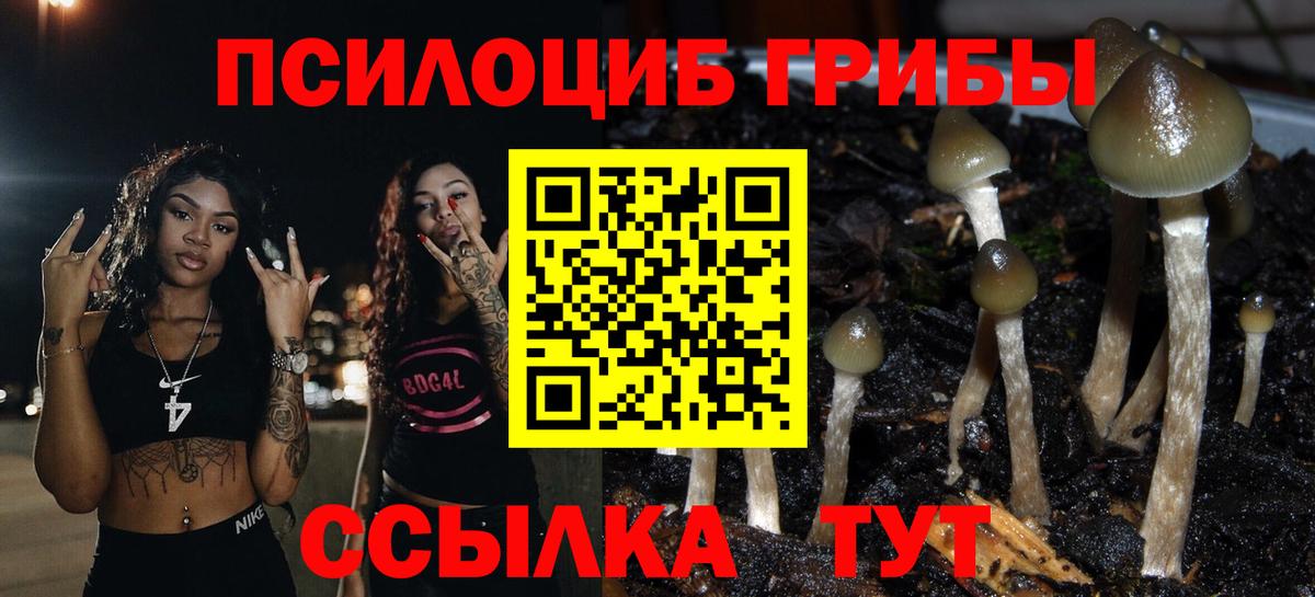 Псилоцибиновые грибы Cubensis  Вход с VPN  Алейск  Галлюциногенные грибы Magic Shrooms 