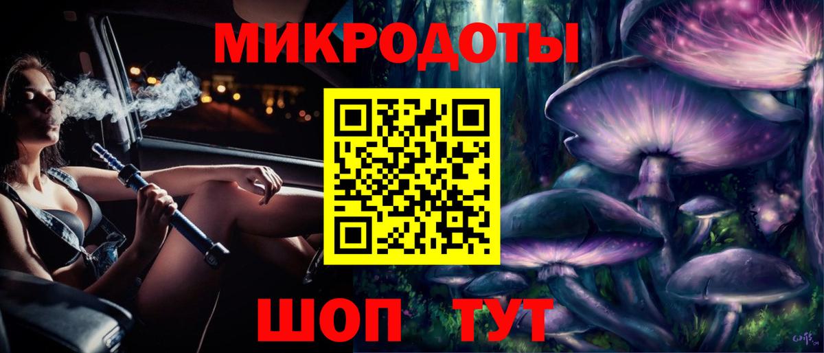 Псилоцибиновые грибы Psilocybine cubensis Алейск